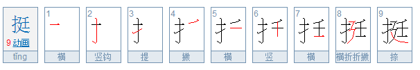 挺是什么意思？