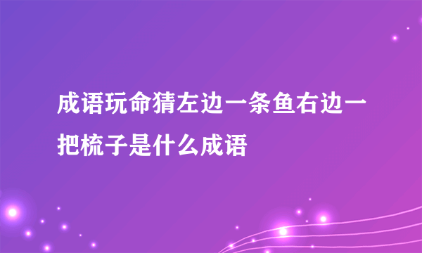 成语玩命猜左边一条鱼右边一把梳子是什么成语