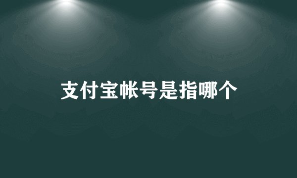 支付宝帐号是指哪个