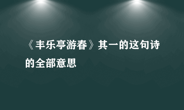 《丰乐亭游春》其一的这句诗的全部意思