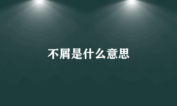 不屑是什么意思