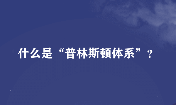 什么是“普林斯顿体系”？