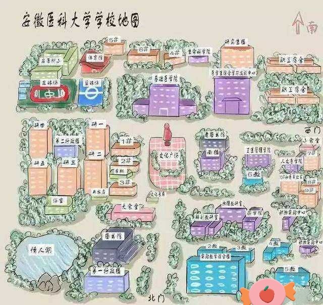 安徽医科大学怎么样