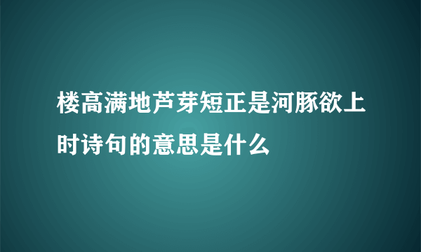 楼高满地芦芽短正是河豚欲上时诗句的意思是什么