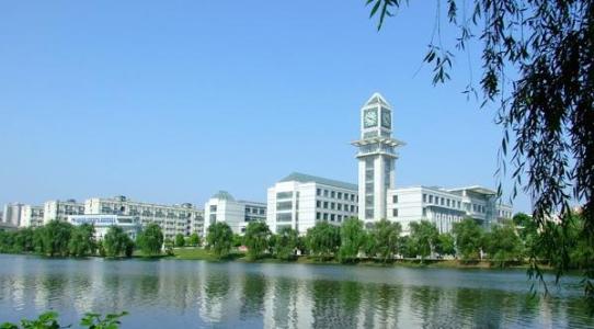 湖北211大学有哪些