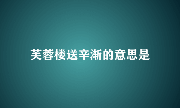 芙蓉楼送辛渐的意思是