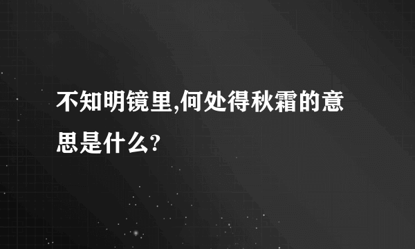 不知明镜里,何处得秋霜的意思是什么?