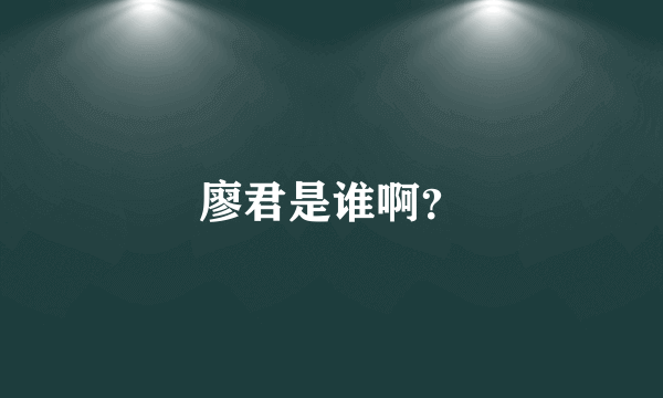 廖君是谁啊？