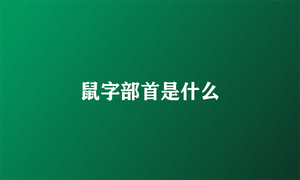 鼠字部首是什么