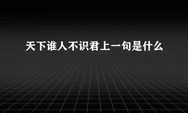 天下谁人不识君上一句是什么