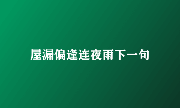 屋漏偏逢连夜雨下一句