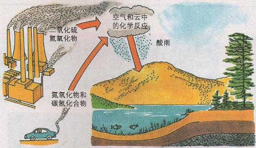 酸雨的主要成分有哪些