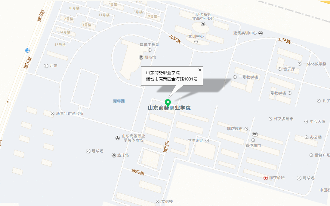 山东商务职业学院到底在烟台的哪个区？