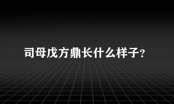 司母戊方鼎长什么样子？