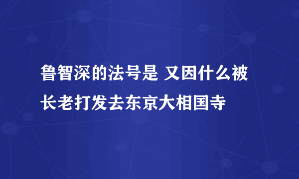 鲁智深的法号是 又因什么被长老打发去东京大相国寺