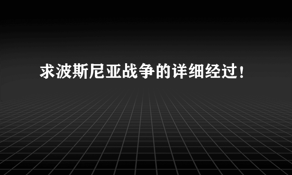 求波斯尼亚战争的详细经过！