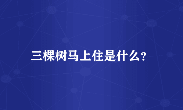 三棵树马上住是什么？