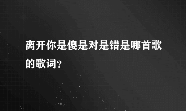 离开你是傻是对是错是哪首歌的歌词？