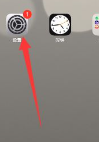 ipad 开机一直在白苹果界面