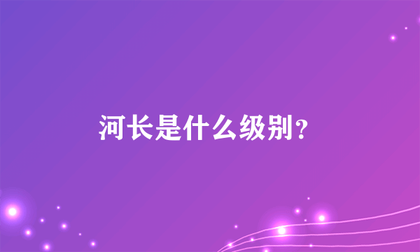 河长是什么级别？