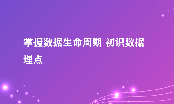 掌握数据生命周期 初识数据埋点