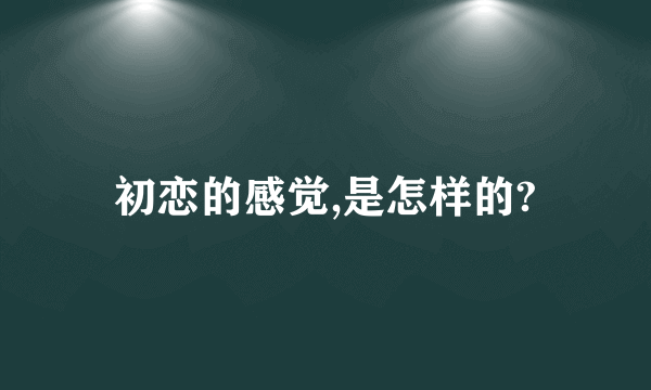 初恋的感觉,是怎样的?