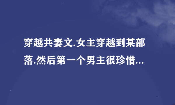 穿越共妻文.女主穿越到某部落.然后第一个男主很珍惜，然后部落被攻陷。