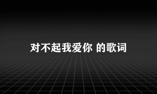 对不起我爱你 的歌词