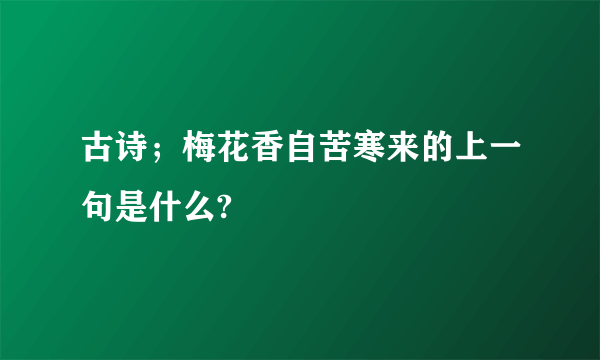 古诗；梅花香自苦寒来的上一句是什么?