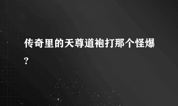 传奇里的天尊道袍打那个怪爆?