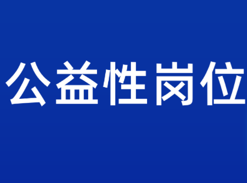 公益性岗位什么意思