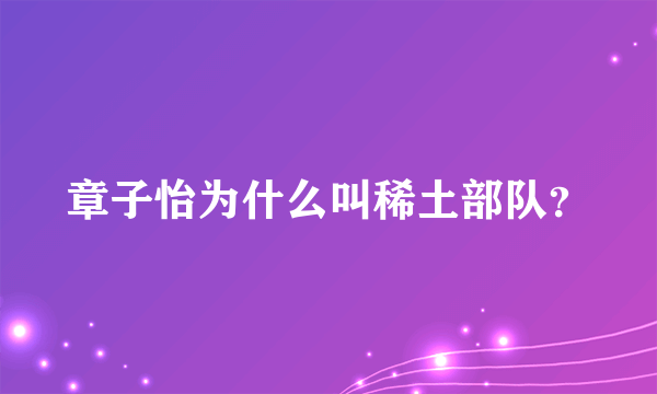 章子怡为什么叫稀土部队？