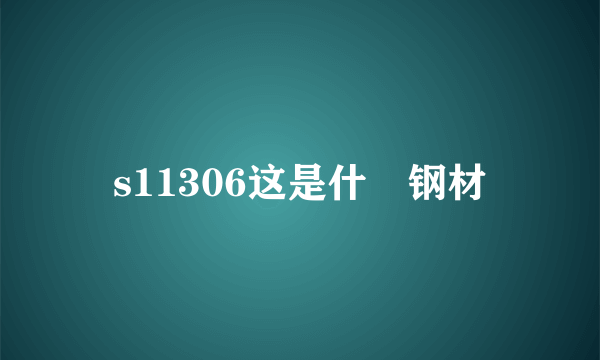 s11306这是什麼钢材