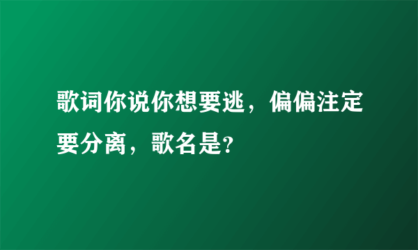 歌词你说你想要逃，偏偏注定要分离，歌名是？