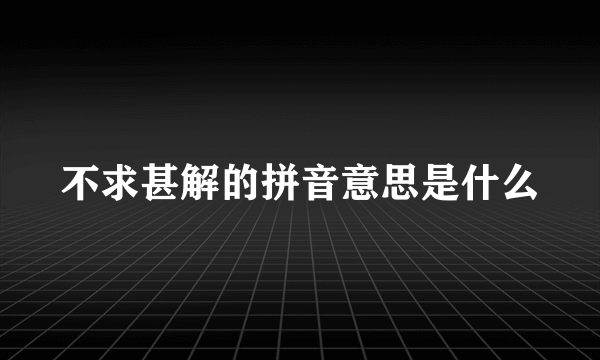 不求甚解的拼音意思是什么