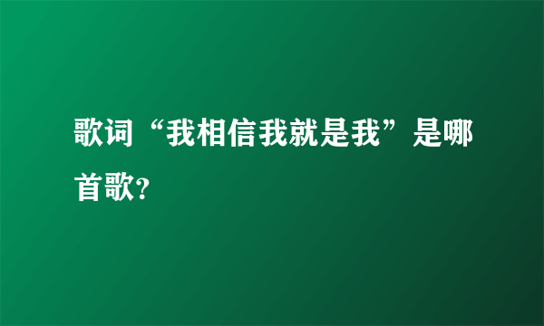 歌词“我相信我就是我”是哪首歌？