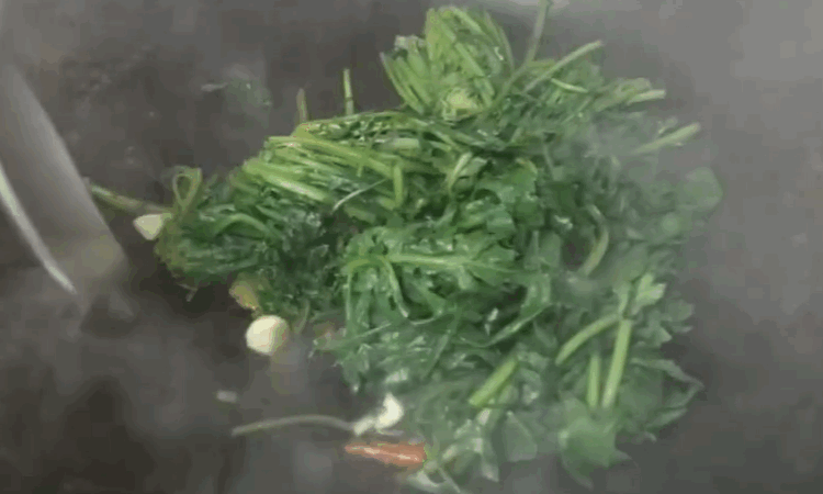 泥胡菜怎么做好吃？