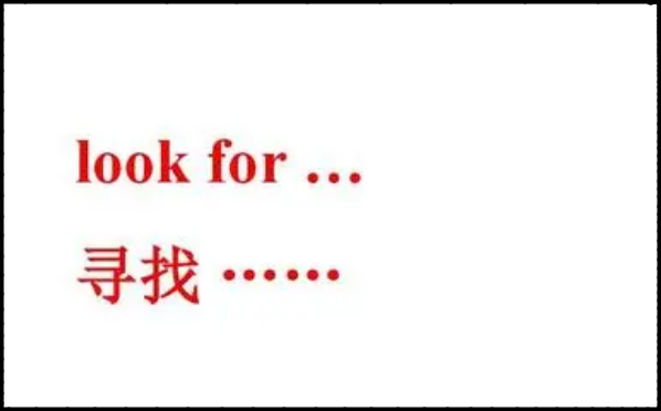 look for是什么意思