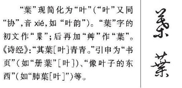 叶字拼音怎么拼叶字怎么读拼音怎么拼