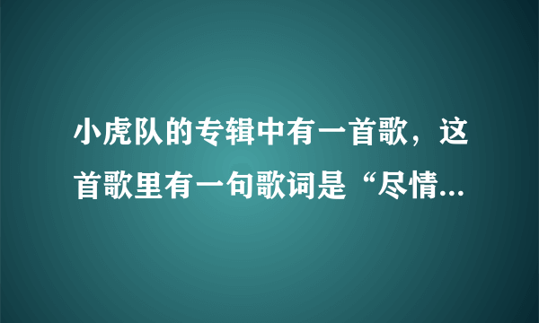 小虎队的专辑中有一首歌，这首歌里有一句歌词是“尽情摇摆”的 这首歌名是？