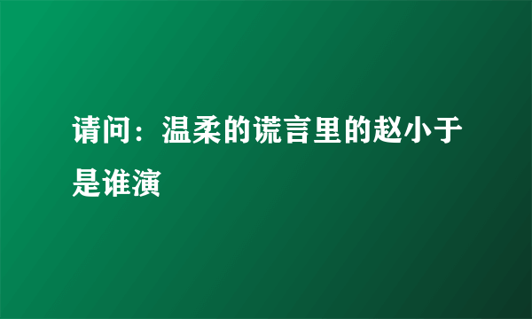 请问：温柔的谎言里的赵小于是谁演