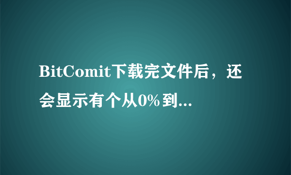 BitComit下载完文件后，还会显示有个从0%到100%的hashing的过程。请问是怎么意思？