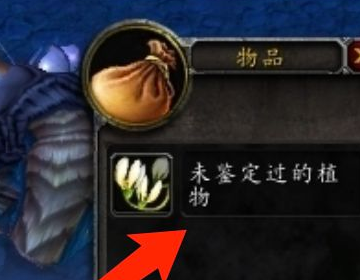 魔兽世界：未鉴定过的植物怎么交不了声望了？？