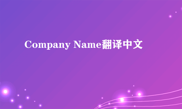 Company Name翻译中文