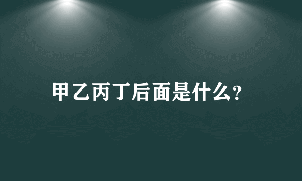 甲乙丙丁后面是什么？