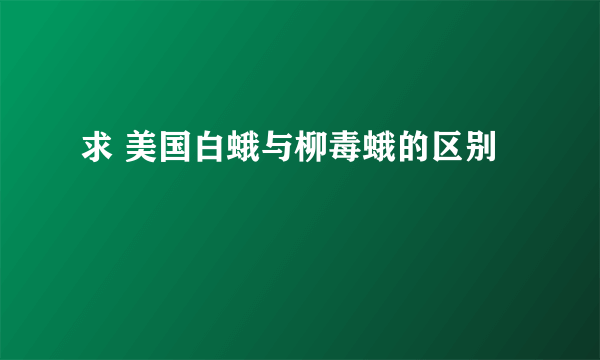 求 美国白蛾与柳毒蛾的区别