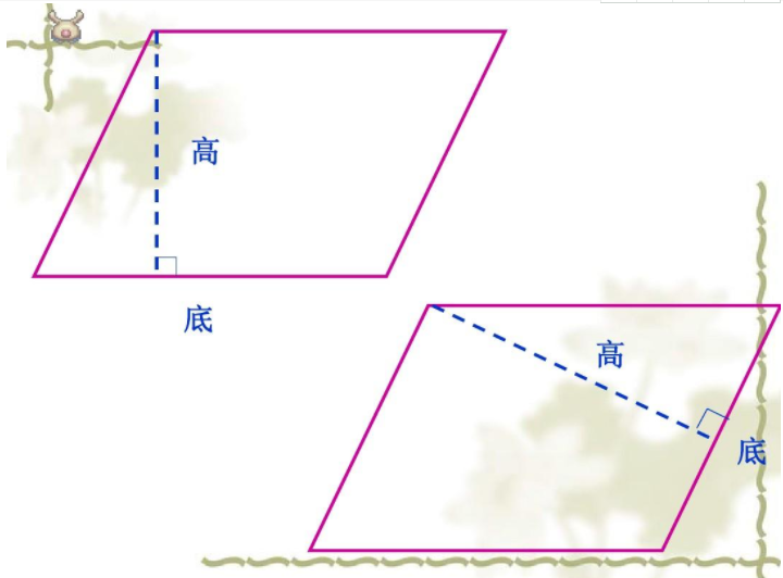 平行四边形和梯形分别有几条高？