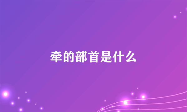 牵的部首是什么