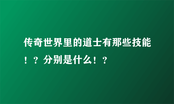 传奇世界里的道士有那些技能！？分别是什么！？