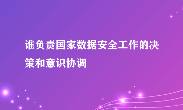 谁负责国家数据安全工作的决策和意识协调